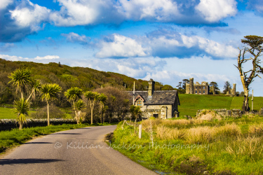 castle, castlefreke, west cork, west, cork, ireland, wild atlantic way