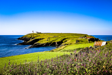 galley, head, west, cork, ireland, wild atlantic way