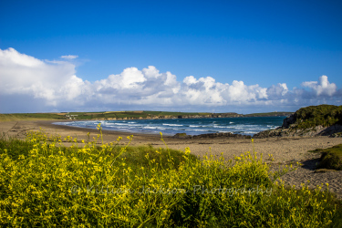 longstrand, cork, west cork, ireland, wild atlantic way