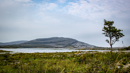 burren, clare, ireland, wild atlantic way