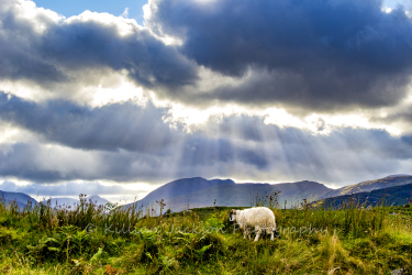 ring of kerry, kerry, ireland