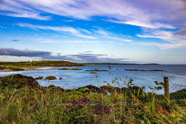 owenahincha, galley head, cork, west cork, ireland, wild atlantic way