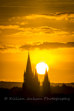 sunset, saint fin barrs, saint fin barres, saint finbarrs, cathedral, cork, ireland