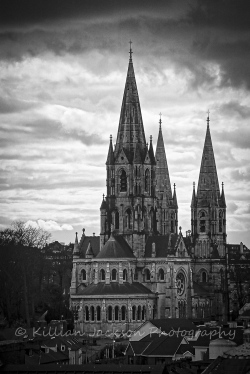 saint fin barre's, cathedral, cork, ireland