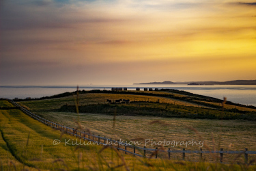 sunset, galley head, west cork, cork, ireland, wild atlantic way