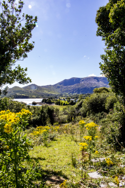 hungry hill,  mountain, beara peninsula, ireland