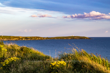 galley head, cork, west cork, ireland, wild atlantic way