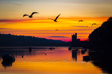 blackrock, blackrock castle, cork, cork city, ireland, river, river lee