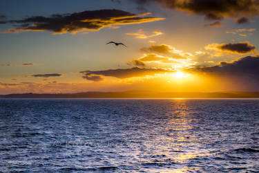 sunset, west cork, cork, ireland, wild atlantic way