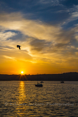 schull, west cork, wild atlantic way, cork, ireland