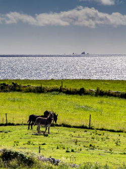 cork, galley head, ireland, west cork, wild atlantic way